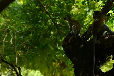 DSC_7869 (Large).JPG